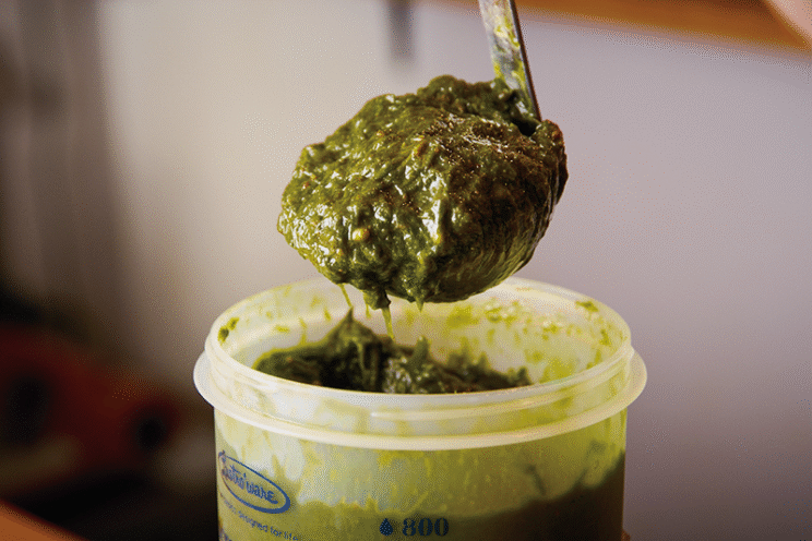 独創的なニラペーストに花椒の辛さを添えて。爽やかな痺れが清涼感を進させ、極太の麺にマッチ。